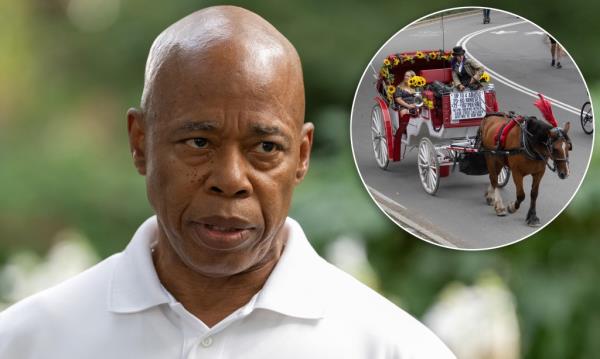 纽约市长亚当斯聘请外部兽医检查中央公园马车马匹，此举被视作对马车行业的打压