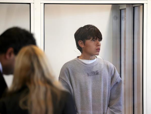 南端街头骚乱涉案男子仅获2000美元保释,引发公众哗然